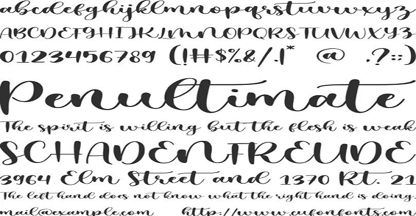 Mystical Snow Calligraphy Font Free Download
