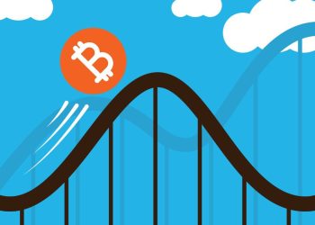 the Cryptocurrency Rollercoaster