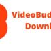 Download VideoBuddy Apk |s this Real or Fake (With Proof)