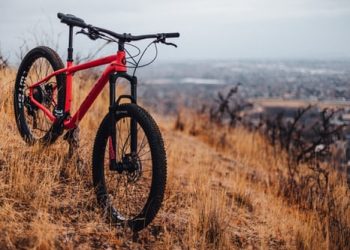 bicycle online for men