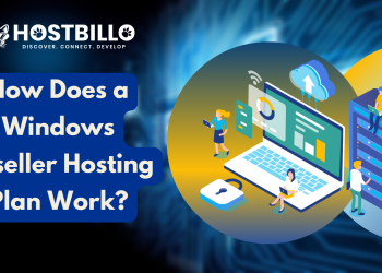Windows Reseller Hosting Plan