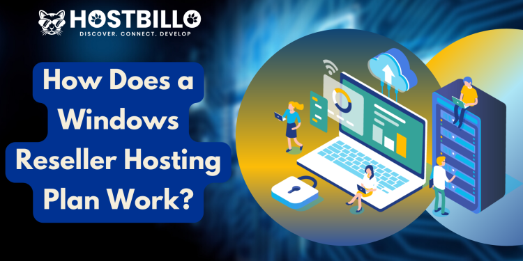 Windows Reseller Hosting Plan