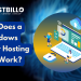 Windows Reseller Hosting Plan