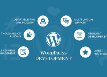 Everything you Need to Know About WordPress Development
