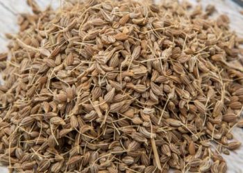 7 Health Benefits and Uses of Anise Seed