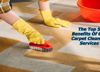 Carpet Cleaning Services