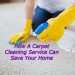 Carpet Cleaning Service