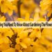 know everything about the flower Forsythias