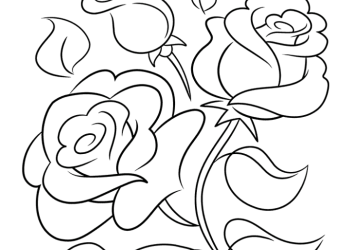 How to Draw a Rose Outline
