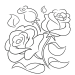 How to Draw a Rose Outline