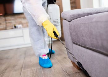 pest infestation problems in the home