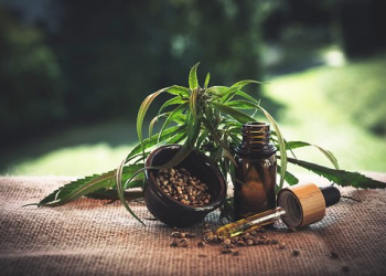 What Are The Different Products Made From CBD Oil?